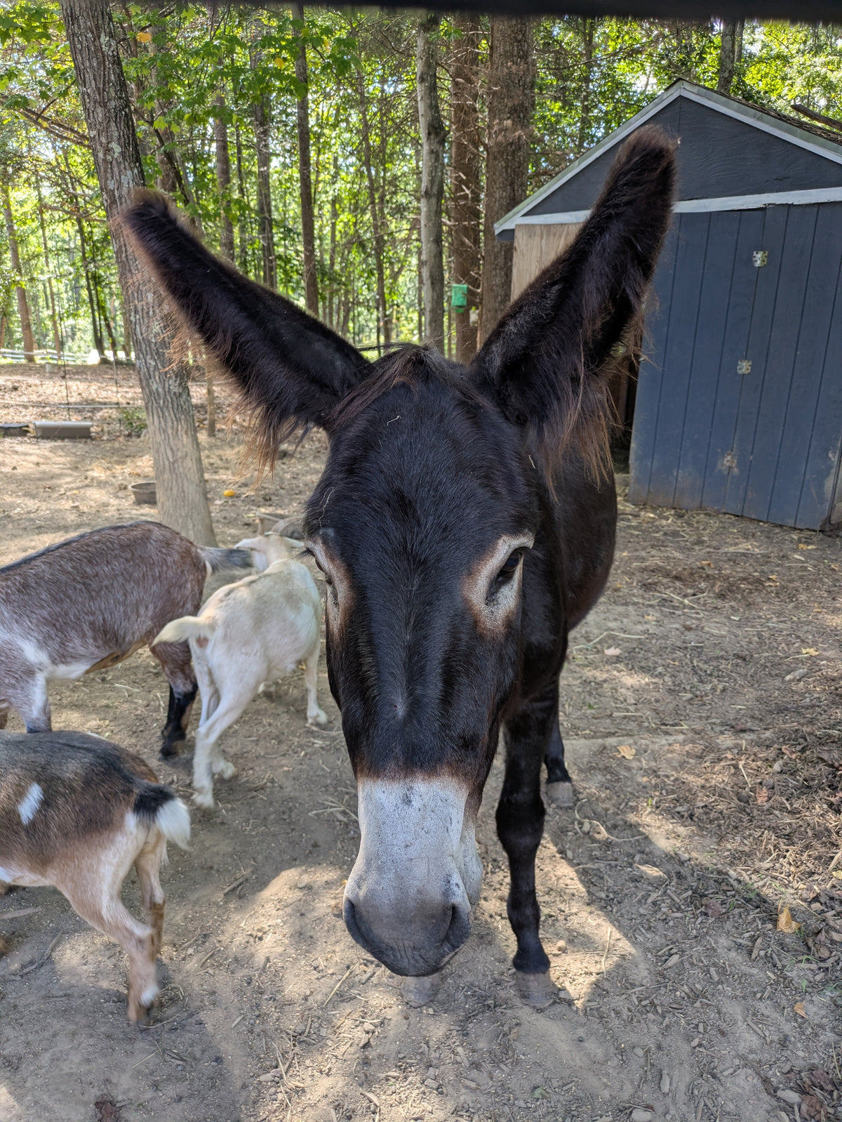 Moving Diary: Day 1