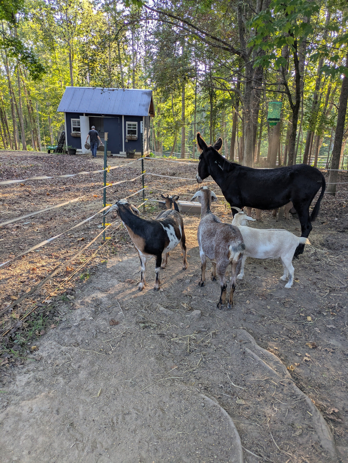 Welcome to the Hearth, to Hearthroot Farm.
