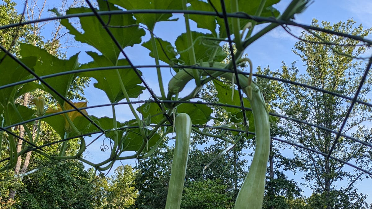 July Packed a Punch