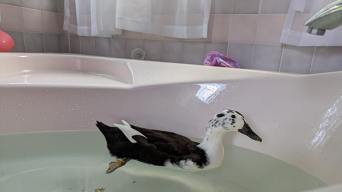 Duck Tales